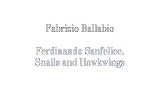 Fabrizio Ballabio - Ferdinando Sanfelice, Snails & Hawkwings.