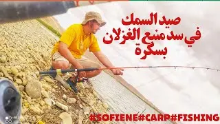 صيد السمك في سد منبع الغزلان بسكرة الطريق الى الجزيرة #sofiene #carp #fishing