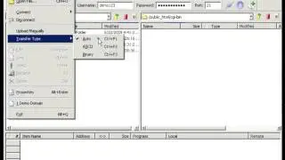 CuteFTP Transferring files By Host4Go Tutorials