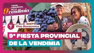🍷 FIESTA DE LA VENDIMIA EN SALDUNGARAY