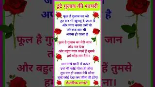टूटे गुलाब की शायरी | Best Gulab Shayari In Hindi | Romantic Shayari | Tute gulab ki shayari