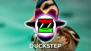 TEMINITE x CHIME - DUCKSTEP [NCS] [VISUALIZER]