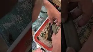 despu&eacute;s del hurac&aacute;n Milton. relajarse un poco con cannabis el Gur&uacute; El Maestro 420.