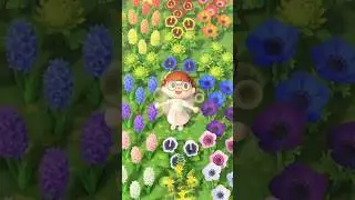 i started my forever island one year ago today! here are my proudest accomplishments so far: