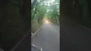 Aarey colony in morning #newsong #love #dance #aareycolony #aareyforest #horror