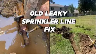 Replacing a 70-Year-Old Rusted Sprinkler Line! (Galvanized Steel to PVC Upgrade)
