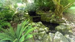 Grounded Awareness: Connecting to Nature Meditation