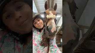SmartPak fits always eat! 🍽️ 😍#horse #equestrianjourney #equestrian