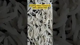 Cooking Videos 1509 Steam Basmati Rice. #1509 #1509धान #basmatirice #hyderabadi #biryani