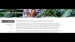 M-STrIPES (Monitoring System For Tigers-Intensive Protection and Ecological Status)