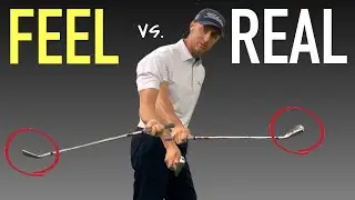 FEEL vs. REAL