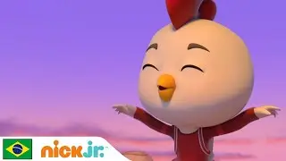 Top Wing | A aventura na selva de Rod e Brody | Nick Jr. em Português