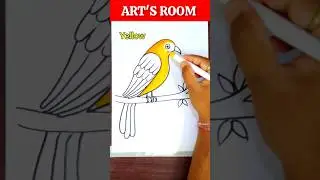 How To Colour A Beautiful Bird #shorts #youtubeshorts #ytshorts #artsroom