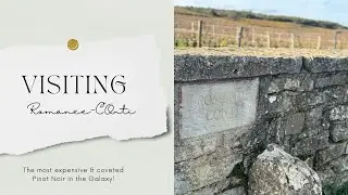 Visiting Domaine de la Roman&eacute;e-Conti Vineyard | The World's Most Expensive Wine | HD Drone Footage