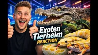 Das Exoten Tierheim von Kevin Kessler --- sehenswert und sch&ouml;n gemacht