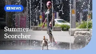 Cool change hits Sydney after temperatures top 40 degrees | ABC News