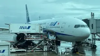 Okinawa (OKA) 🇯🇵~ Tokyo Haneda (HND) 🇯🇵 - ANA - Boeing 777-200 - Full Flight