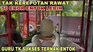 KINDERGARTEN TEACHER SUCCESSFULLY FARMING MUSHROOM