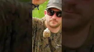 🔥Heavyweight Solid Bag Rigs on CoreFree Leaders = CARP!🎣#fishing #carprigs #carpfishing