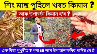 How to make a fish fry? || New Business Ideas 2024 || Fish Farming in Assam || Assam Fish Hatchery