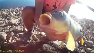 AmatriCarpfishing C&S | Trailer 2020 | Carpfishing