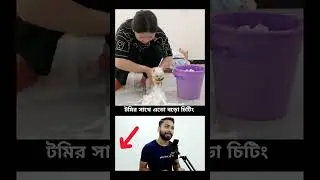 Bengali Dog Laughter Fest | Top Funniest and Most Adorable Moments