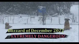 MAJOR WINTER STORM Christmas Eve Blizzard of December 2022 of West Grey Ontario