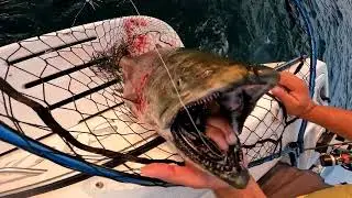 Tandem Single Hook Meat Rigs-AKA Death Rigs