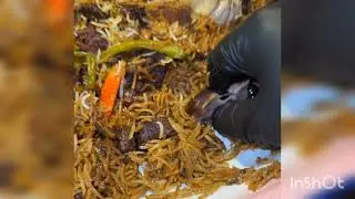 🔥 Arabic Mandi Rice with Spicy Meat | Traditional Gulf Food 🍖 | Arabic Street Food Taste