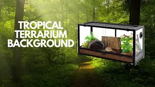 AWERT Tropical Forest Terrarium Background/ Reptile Habitat Background