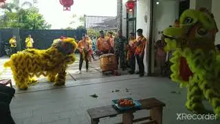 Kang Ha Tong lion dance team Padang - Indonesia ( 印尼黃獅舞聯合會 )