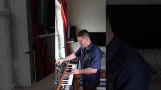 Phat bass and sampler synth jam
