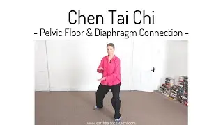 Two Plates in Tai Chi - Pelvic Floor & Diaphragm Connection