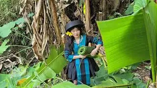Wrap the sticky rice cake in wild banana leaves.