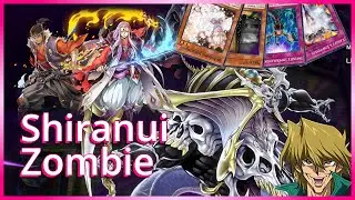 『Yu-Gi-Oh! Master Duel』Budget Shiranui Zombie win through top tier cards!