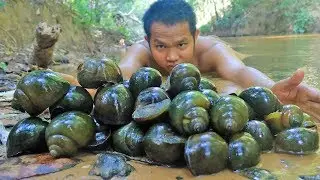 Find Snail on River and Cook Eating to Survival in Forest
