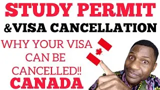 VISA CANCELLATION AND STUDY PERMIT CANCELLATION|This is why!!