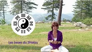 Stage d'Initiation au Zen Shiatsu - Shiatsu Familial - au Domaine du Taill&eacute;, 24 25 26 octobre 2025