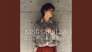 道しるべ～moon light～