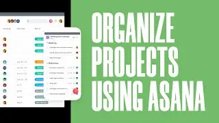 How to Organize Website Design projects for Free Using Asana