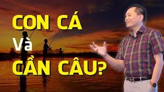 Bài Học Từ 
