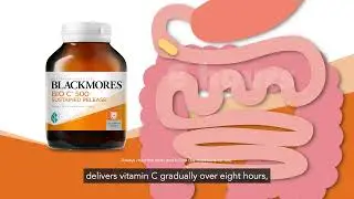 Bio C&reg; 500 Sustained Release Supplement by Blackmores