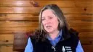 Yellowstone hikes fees for international visitors: Full Aishia Mills interview