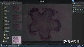 Microscope imaging multi-exposure