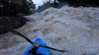 Lower Meadow 3900 + 19k Gauley