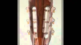 New Traphagen 00 MDRS Madagascar/Adirondack at Dream Guitars