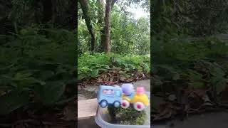 Zoo Bus VS Cute Mixer Truck Crash  🌳 💦 🚓 🏎️