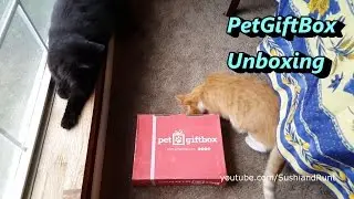 PetGiftBox Unboxing - July 2016 Cat Subscription Box Review