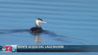 NIENTE ACQUA DAL LAGO BIVIERE