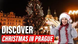 ❄️ Prague&rsquo;s Christmas Charm: Like Stepping Into a Storybook